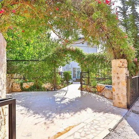 Asfina Kalkan